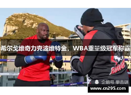 希尔戈维奇力克波维特金，WBA重量级冠军称霸