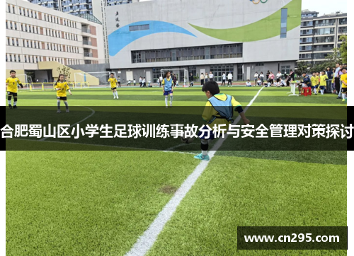 合肥蜀山区小学生足球训练事故分析与安全管理对策探讨
