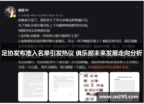 足协发布准入名单引发热议 俱乐部未来发展走向分析