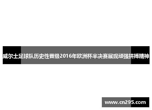 威尔士足球队历史性晋级2016年欧洲杯半决赛展现顽强拼搏精神