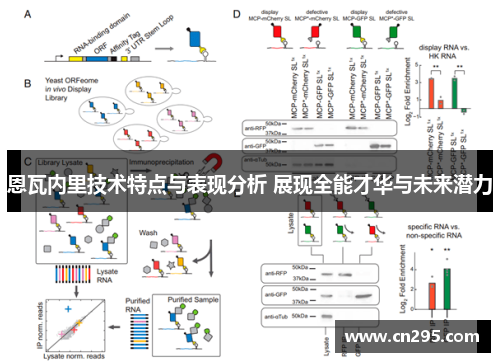 恩瓦内里技术特点与表现分析 展现全能才华与未来潜力 恩瓦内里技术特点与表现分析 展现全能才华与未来潜力